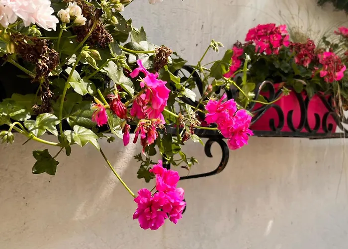 L'Ours de Mutzig - Hôtel Restaurant&Spa